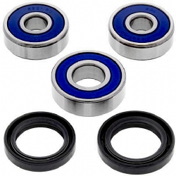 Kit rodamientos rueda All Balls 25-1600