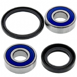 Kit rodamientos rueda All Balls 25-1604