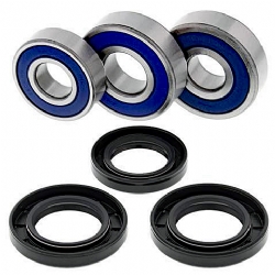 Kit rodamientos rueda All Balls 25-1605