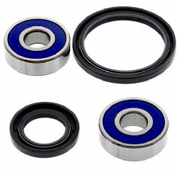 Kit rodamientos rueda All Balls 25-1644