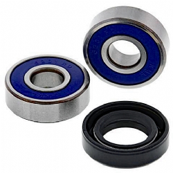 Kit rodamientos rueda All Balls 25-1645