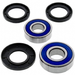 Kit rodamientos rueda All Balls 25-1665
