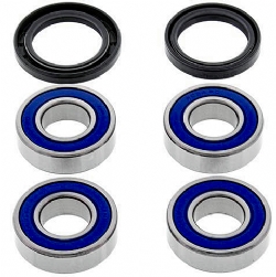 Kit rodamientos rueda All Balls 25-1672