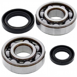 Kit rodamientos y retenes cigueñal All Balls 24-1117