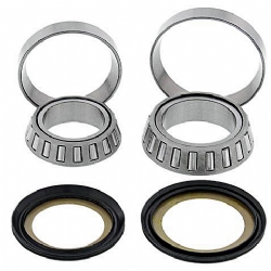 Kit rodamientos y retenes direccion All Balls 22-1008