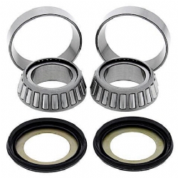 Kit rodamientos y retenes direccion All Balls 22-1024