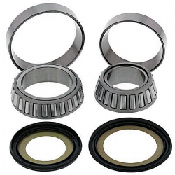Kit rodamientos y retenes direccion All Balls 22-1037