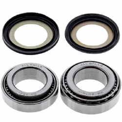 Kit rodamientos y retenes direccion All Balls 22-1050