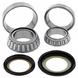 Kit rodamientos y retenes direccion All Balls 22-1063