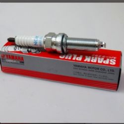 Bujia original moto Ngk LMAR8A-9