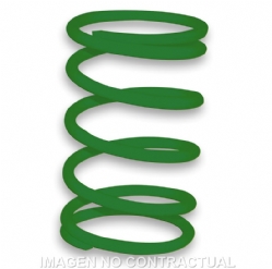 Muelle Polea Conducida Verde Piaggio TyphoonFree 298323G0