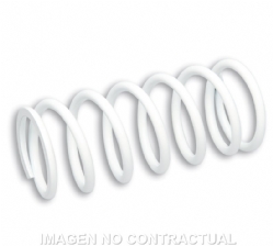 Muelle Reforzado Amortiguador Delantero RS24 Malossi 2911228B0