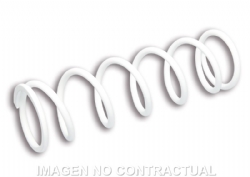Muelle Reforzado Amortiguador Trasero RS24 Malossi 299213B