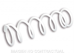 Muelle amortiguador Malossi RS2410 Piaggio 50 2914753B