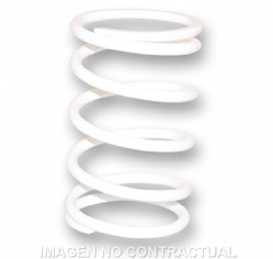 Muelle embrague Malossi 2914121.W0