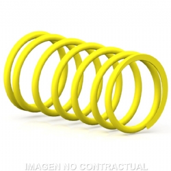 Muelle embrague Malossi 2918425.Y0