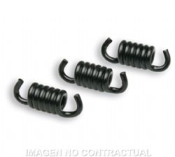 Muelles Embrague Delta Clutch Negros 298745S