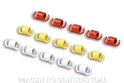 Muelles Embrague Malossi MHR Yamaha Majesty 400 2914151