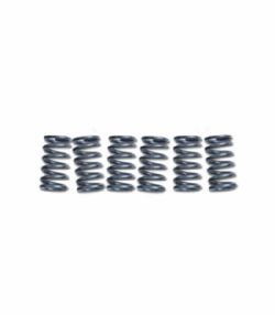 Muelles embrague Ebc CSK264