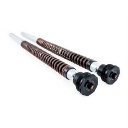 Cartuchos horquilla Ohlins 21944-02 Kawasaki Ninja ZX-25R (Showa) 2023-2024