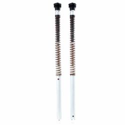 Cartuchos horquilla Ohlins FKS 531 NIX30 Honda CB750 Hornet (Showa) 2025-2026 Muelles no incluidos