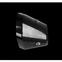 Protector térmico Akrapovic P-HSB13SO2D BMW R 1300 GS ABS Fibra de carbono