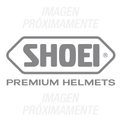 Recambio Shoei Logo Posterior Xr-1100 Gris