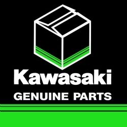 Recambio original Kawasaki 14093-0508