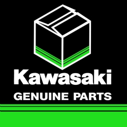 Recambio original Kawasaki 41048-1076