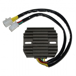 Regulador Electrosport ESR180