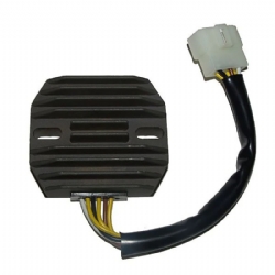 Regulador Electrosport ESR263