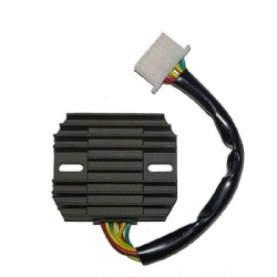 Regulador Electrosport ESR290