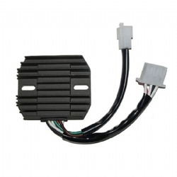 Regulador Electrosport ESR310