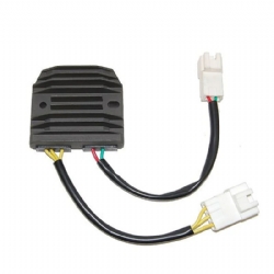 Regulador Electrosport ESR623