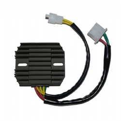 Regulador Electrosport ESR640