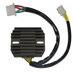 Regulador Electrosport ESR650