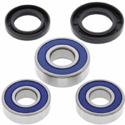 Kit rodamientos rueda trasera All Balls 25-1230