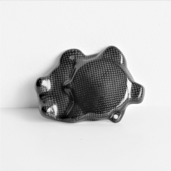 Tapa pick up Lightech CARY9718 Carbono Brillo Yamaha YZF R1 2009-2014