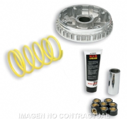 Variador Malossi 5111225