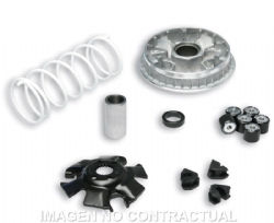 Variador Malossi 5111324