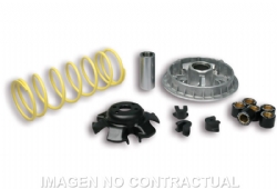 Variador Malossi 5111838