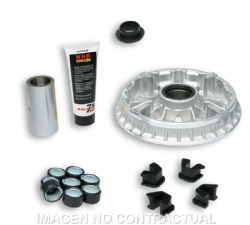 Variador Malossi 5113595