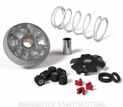 Variador Malossi 517075