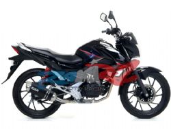 Escape Arrow 51517AON