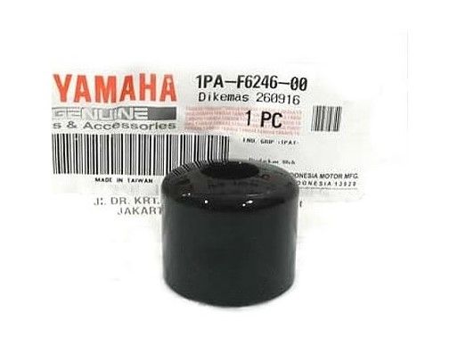 1PA F6246 10