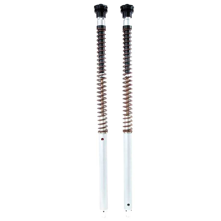Cartuchos horquilla Ohlins FKA 124 NIX30 CF Moto 800MT-X 2025-2026 Muelles no incluidos