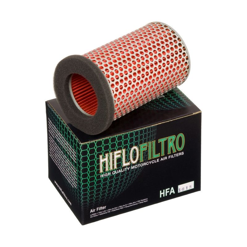 Filtro aire Hiflofiltro HFA1613