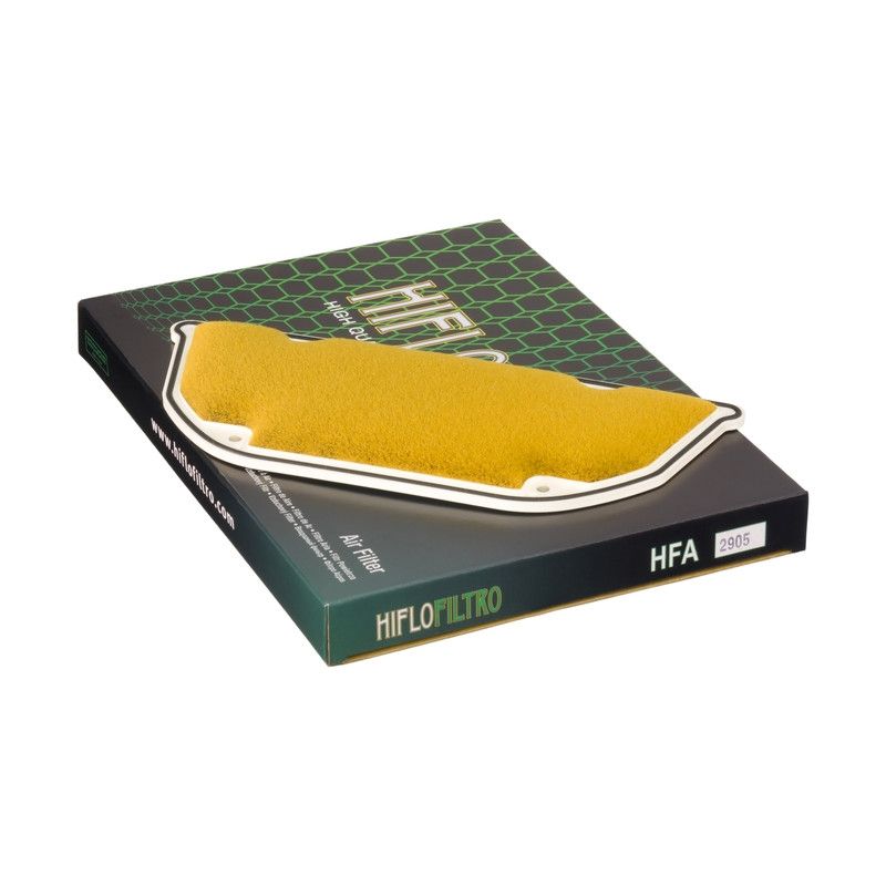 Filtro aire Hiflofiltro HFA2905