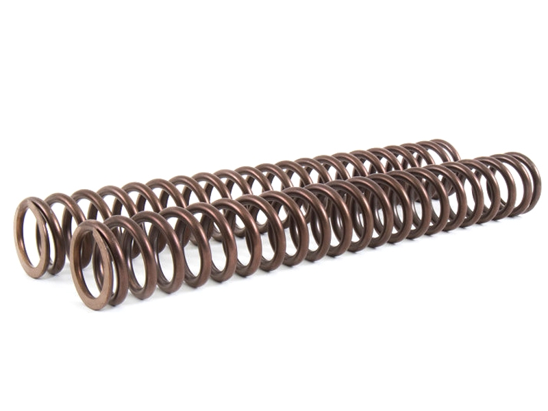 Muelles horquilla Andreani 400/022 Bmw R 100 GS 88 1988